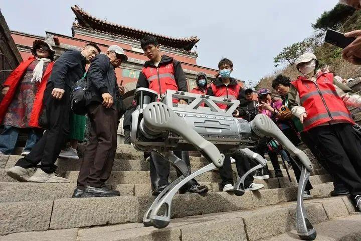 山东一只“机器狗”火遍全网！确实厉害→(图4)